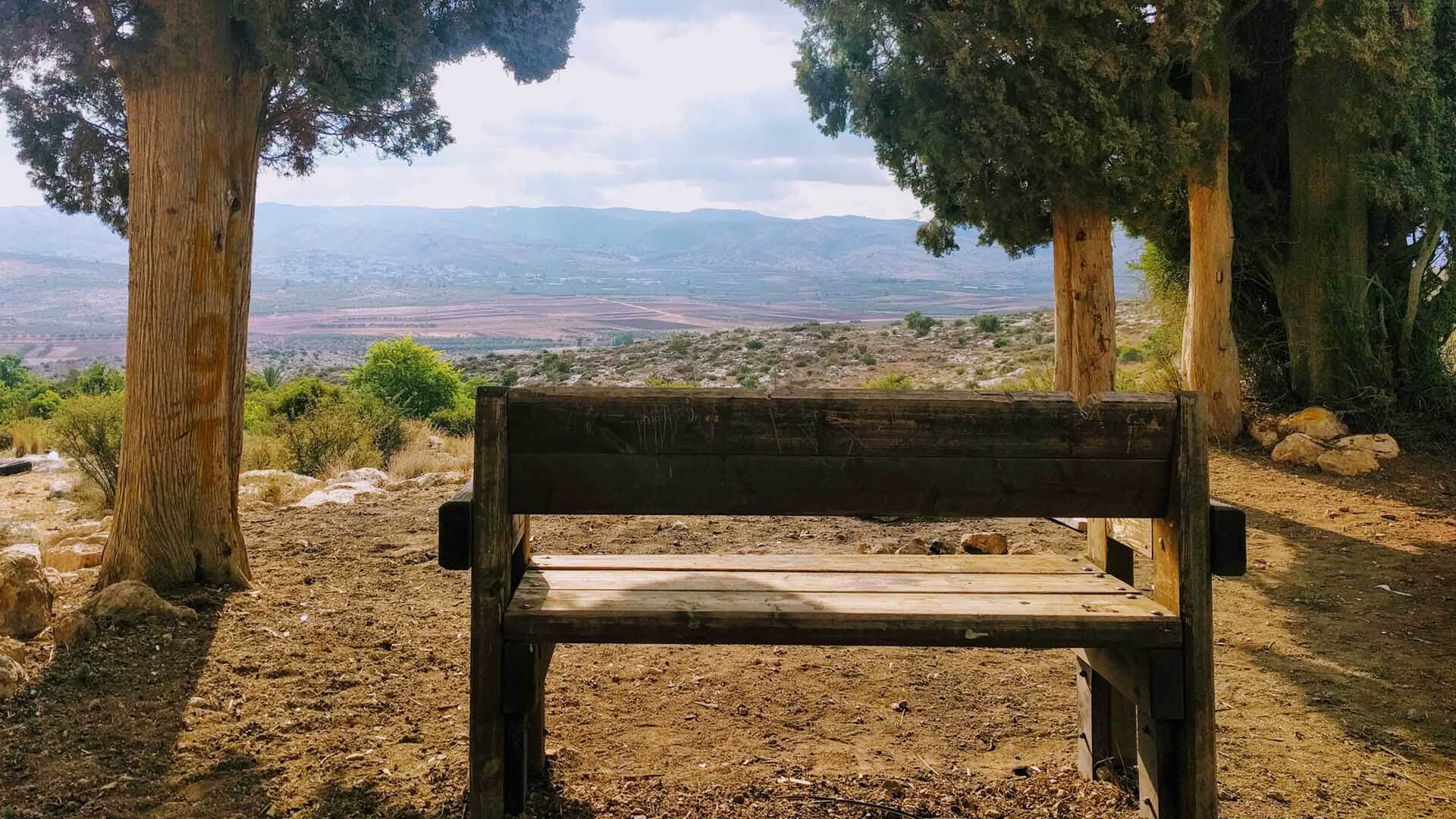 לימודי מדיטציה ובודהיזם במודיעין